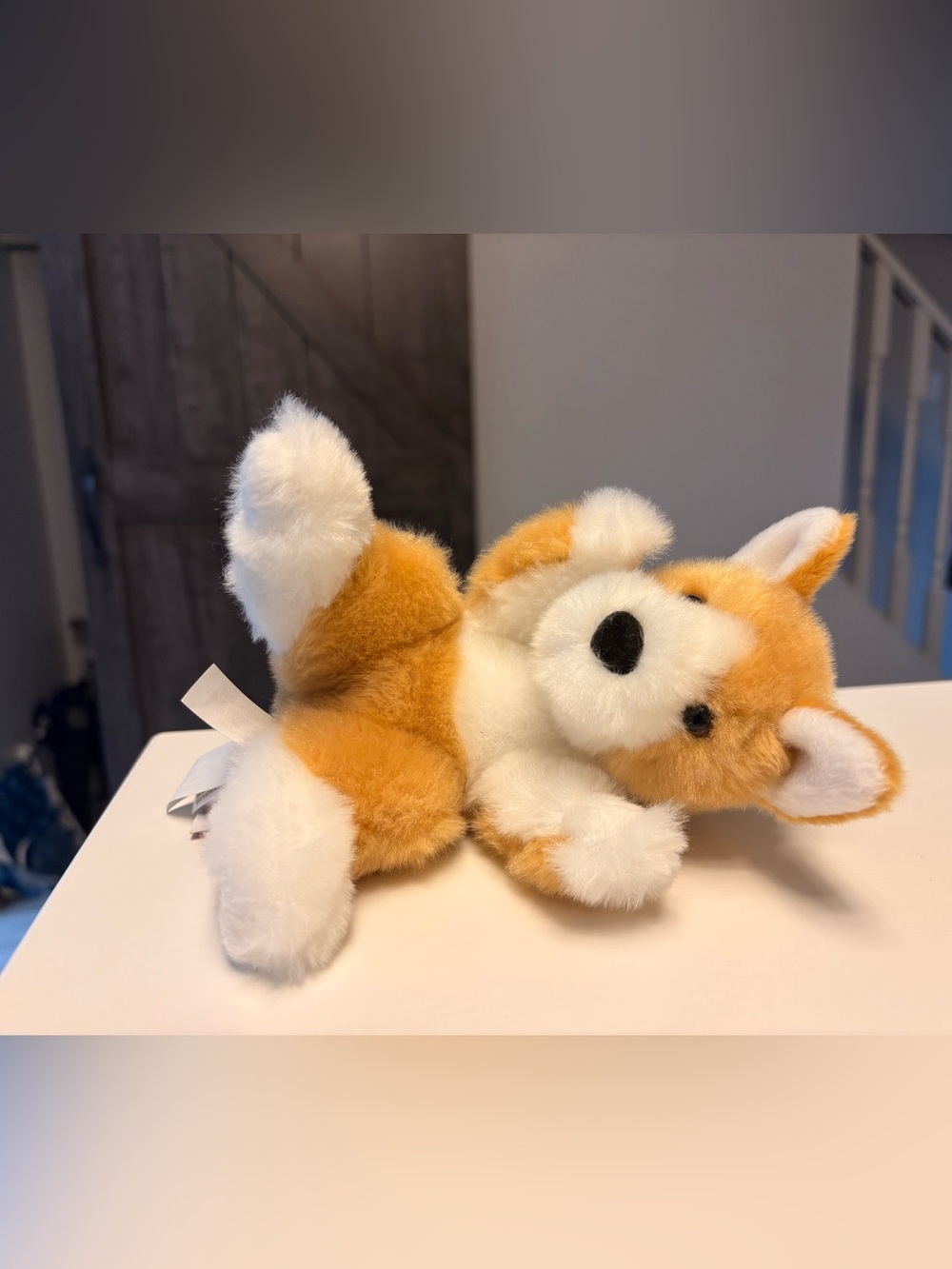 Douglas Plush Corgi Stuffed Animal - Orange & White 2021